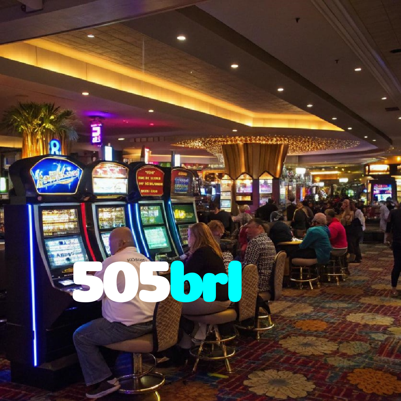505brl